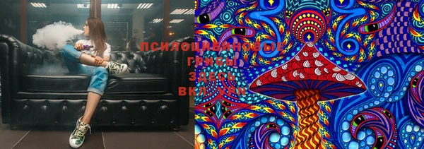 мет Ельня
