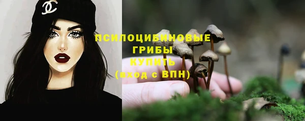 ALPHA PVP Елизово
