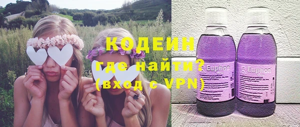 мет Ельня
