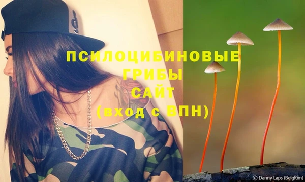 мет Ельня