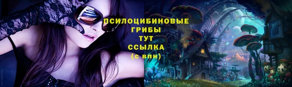 ALPHA PVP Елизово