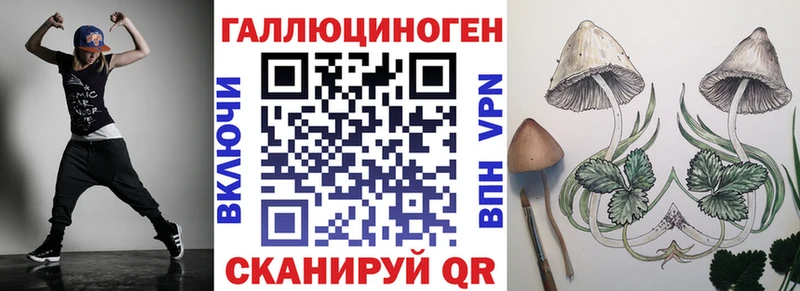 дарнет шоп Теберда Псилоцибиновые грибы GOLDEN TEACHER
